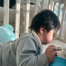 함사세 | 편의점 치킨 사세 매콤점보닭다리 간단요리
