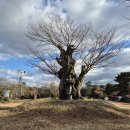 고목목장 이미지