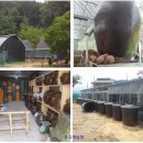 순환농장 이미지