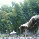 대나무골 이미지