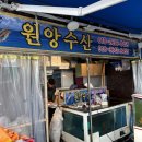 설도젓갈타운 | [광주 근교 영광 회 맛집] 바다를 보며 먹는 "설도항 회센터"｜젓갈타운