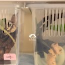 너무 더웠던 5월, 활동적인 집순이 ISFJ의 일상 기록