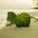 주인농장 이미지