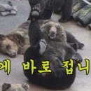 러반로제 레스토랑 이미지