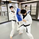 강진태권도 이미지