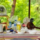 백운오양골 캠핑장 이미지