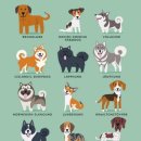 강아지그림 이미지