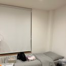 백구정민박 이미지