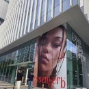 인메디칼 | [신사역 피부과] 피부 볼륨 고민하다 선택한 인퓨스킨 후기