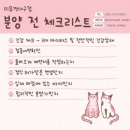 영천동물병원 | 영천고양이샵 계속 비교하다 결국 다시 찾아간 이유