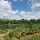 오영란농장 이미지