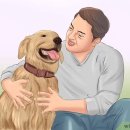 미주목장 이미지