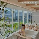 능놀스테이