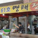 61호명태집