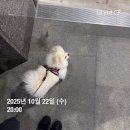 37.5하남미사점 | 챌린저가 되어라..