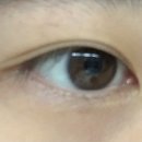 [렌즈] 렌시스 샌드 플러스 그레이 리뷰, 착용 후기