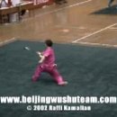 2002 China National Wushu Competition BSSS Trailer 이미지