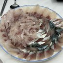 털보 | 통영 중앙시장맛집 통영회 제대로 즐긴 털보활어 후기