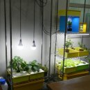 미래산업과학고등학교 이미지