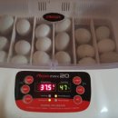 해밀계곡농장 이미지