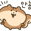 그릭홀릭포케 이미지