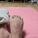 바벨폴댄스 이미지