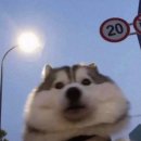 스테이 계절 이미지