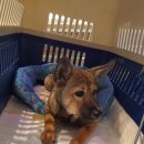 역전농장 이미지