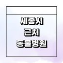 세종상가(빌딩) | 세종시 근처 동물병원 추천 잘하는곳 정보 24시간 치료 수술 중성화 가격 후기 강아지 고양이 야간 새벽