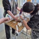 고양이 미용&호텔 뽀냥 이미지