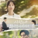 윤지원헤어 이미지