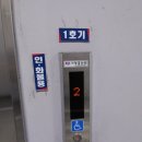 부흥화물