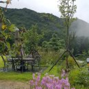 꽃뱅이정원 이미지