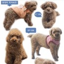 같이 네이버블로그