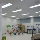 충북인삼협동조합 이미지