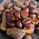 조태일시문학기념관 이미지