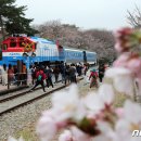 진해구 ⓒ-22 이미지