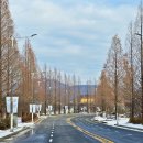 천안종합휴양관광지 이미지