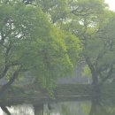 남산반곡지 이미지