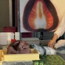 광장농장 | 여수 이순신광장맛집 여수 여행 선물 삼대옥 딸기찹쌀떡 본점 웨이팅, 포장 후기 및 구매 꿀팁