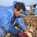 안흥초신진분교 이미지