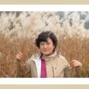 강촌걸리버여행기 이미지