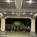 진도에서 횟집 | 진도 쏠비치 맛집 픽업 포장 배달 가능 진도횟집 바다향 후기