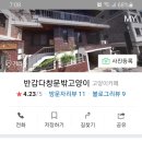 반갑다 창문밖 고양이 이미지