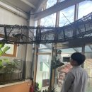 경산 근교 대구 [네이처파크 플라워 페스티벌] 아이랑 갈만한 곳