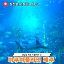 아쿠아플라넷 제주 12월 제주도 여행 제주 가볼만한곳 추천 가격, 할인정보