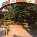 아프리카예술박물관 캠핑장 이미지