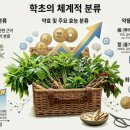 약용식물과 건강약선 | 약용식물의 분류와 용도