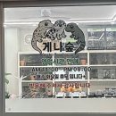 수곡초등학교 | 청주 파충류샵 도마뱀 분양 게코나무숲