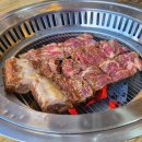 2089 | [내돈내산] 포천 이동갈비 맛집 느티나무 갈비 후기(+포천 가든 페스타)